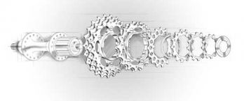 Freewheel & Cassettes