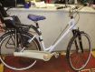 Trek L300
