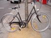 Giant Classic
