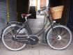 Pashley Princess Sovereign