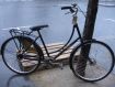 Pashley Sovereign