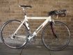 Condor Ultima
