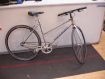 Marin single speed