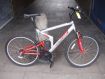 Apollo FS 26" D/S
