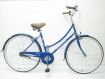 Blue Bronx Metropole