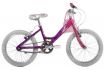 Raleigh Star