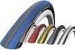 Schwalbe Lugano